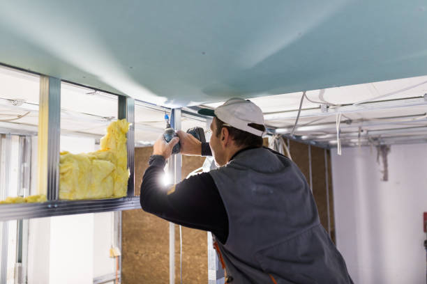 Best Attic Insulation Installation  in Felida, WA