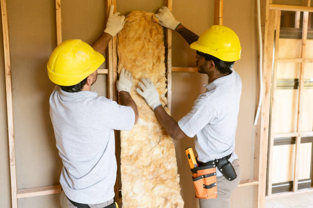 Best Garage Insulation Installation  in Felida, WA
