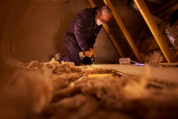 Best Insulation Inspection Services  in Felida, WA