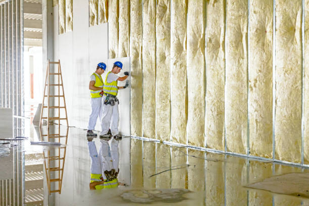 Best Fiberglass Insulation  in Felida, WA